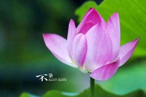 开云综合服务-体育新闻中心完善体育栏目专业化制作流程，体育类新闻节目都有哪些