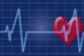 开云全站下载-英超球员比赛后心率恢复曲线被用于训练调整，英超球员场均跑动