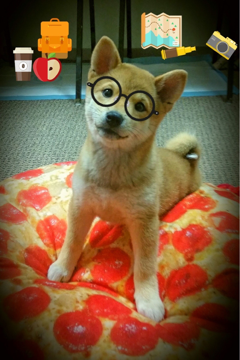 英超球员心率变异性在训练负荷监控中的应用探讨，心率变异性数据