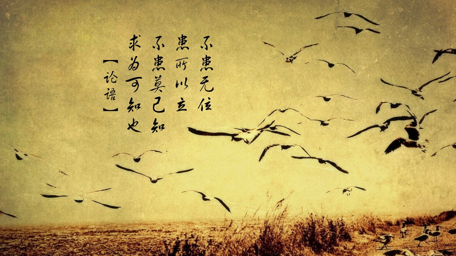 英超球员心率变异性在训练负荷监控中的应用探讨，心率变异性数据