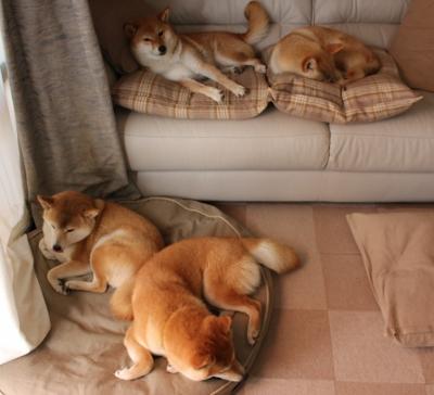 2024国际乒联混合团体世界杯：瑞典团队逐步崭露头角，44届世乒赛男团瑞典