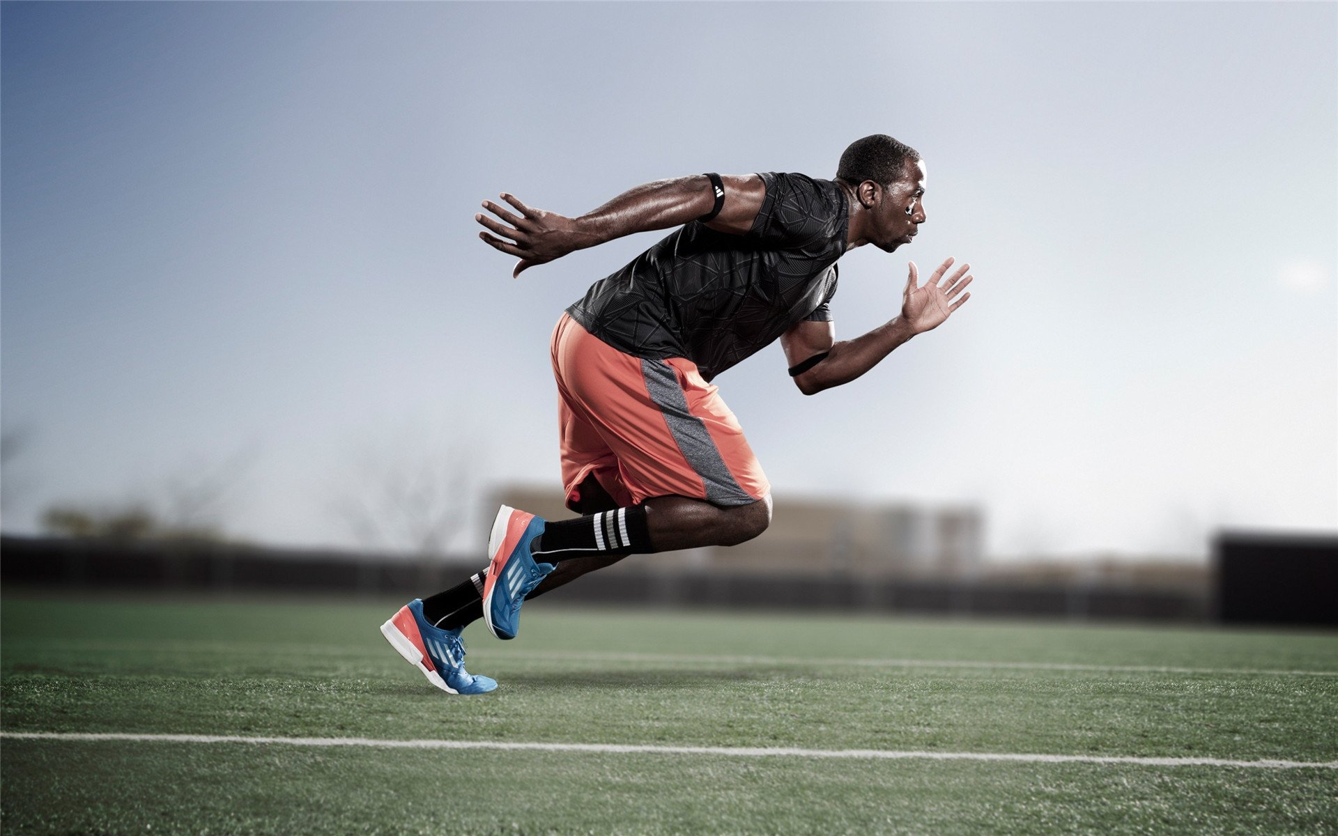 中美蝶泳分段划频密度差异明显，蝶泳频率