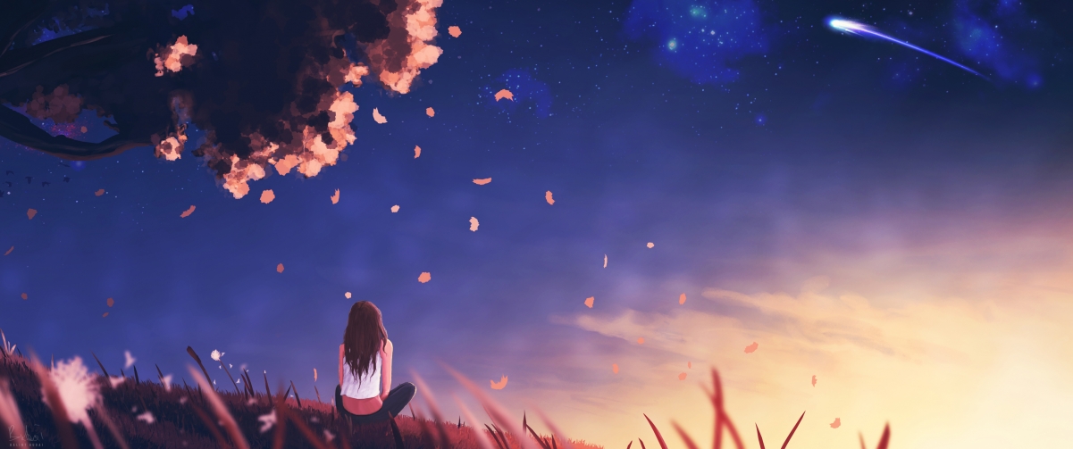 中美蝶泳分段划频密度差异明显，蝶泳频率