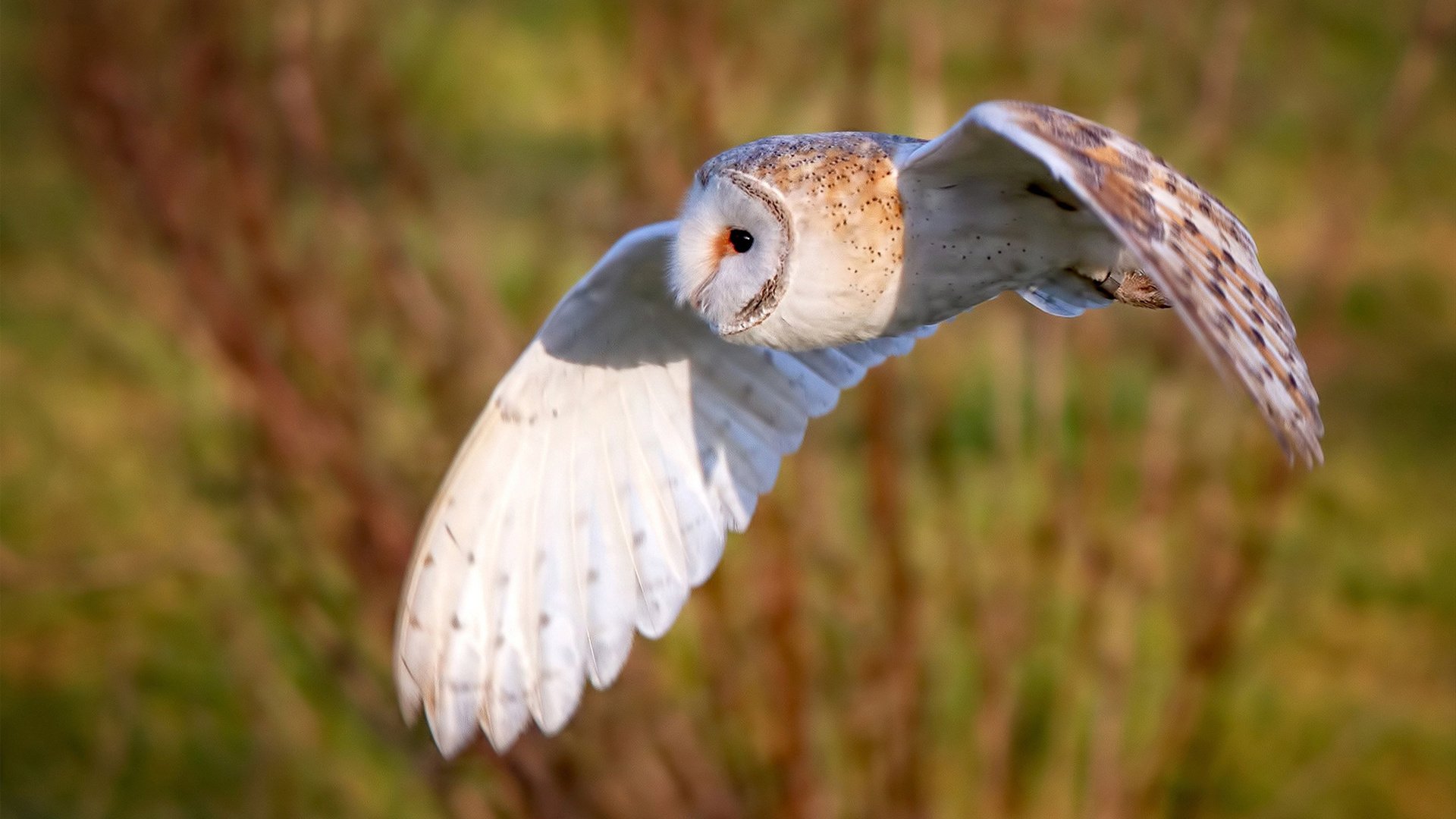 滑行距离延长助力成绩突破，滑行距离与滑行时间的关系这类问题如何求