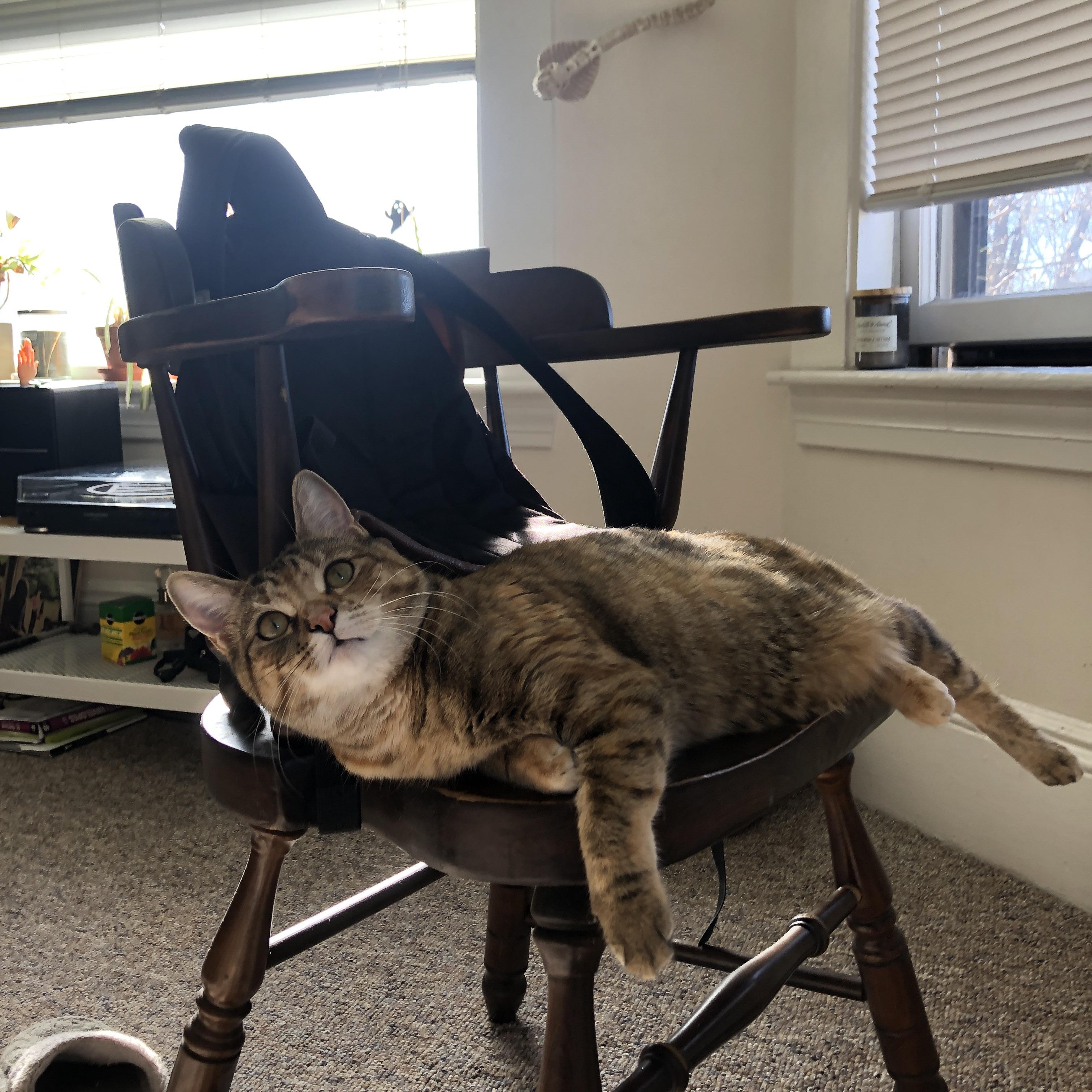 都灵持续进化防线保持零封纪录，都灵等级