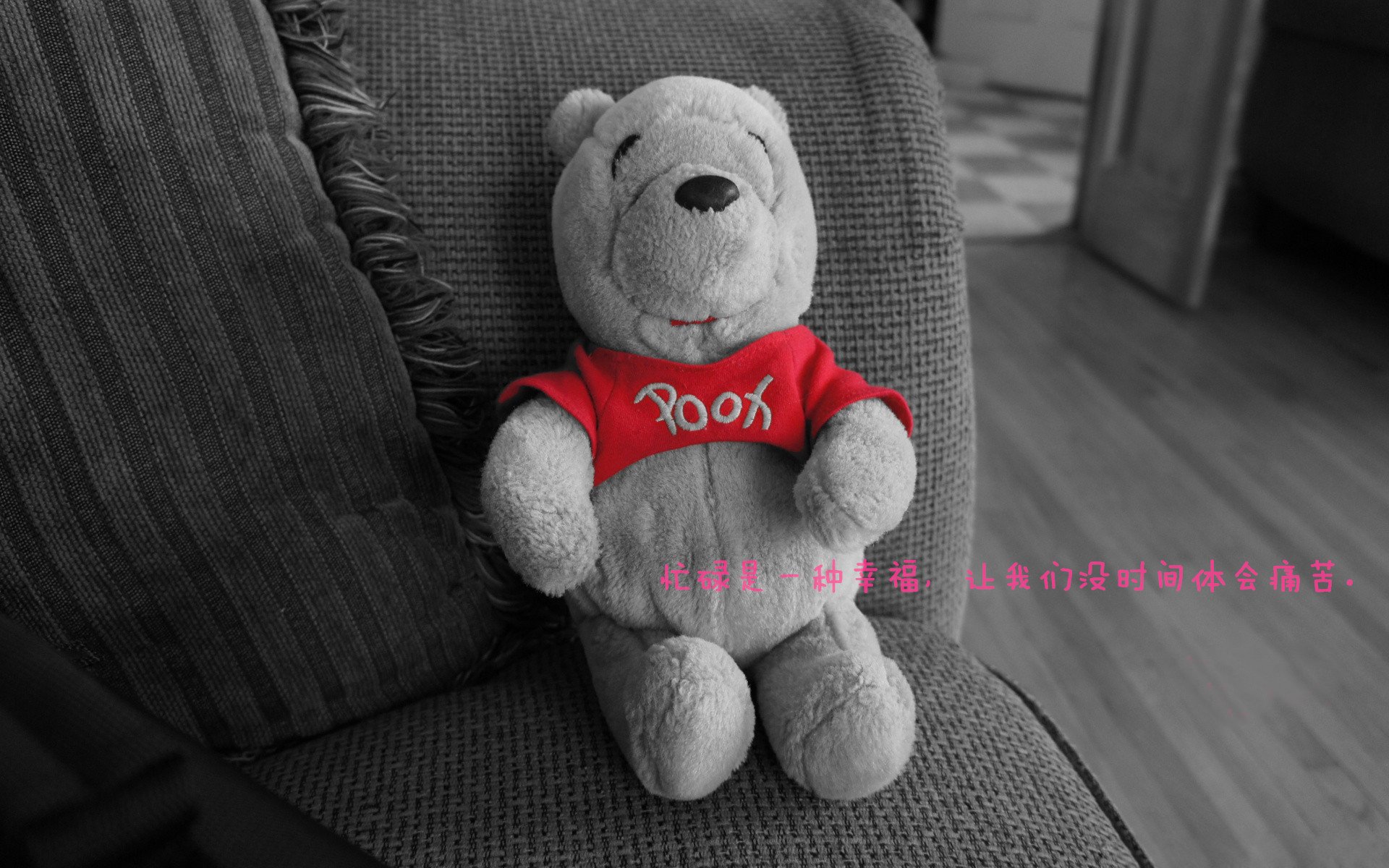 “南非羚羊队新锐之星:诺克·达维德·彼得森走向巅峰”