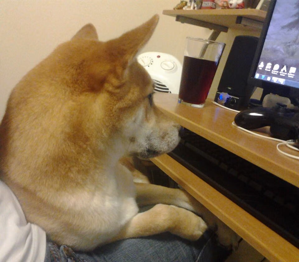 体育新闻中心通报运动员退役转型创业扶持案例，退役运动员就业创业扶持基金使用暂行办法