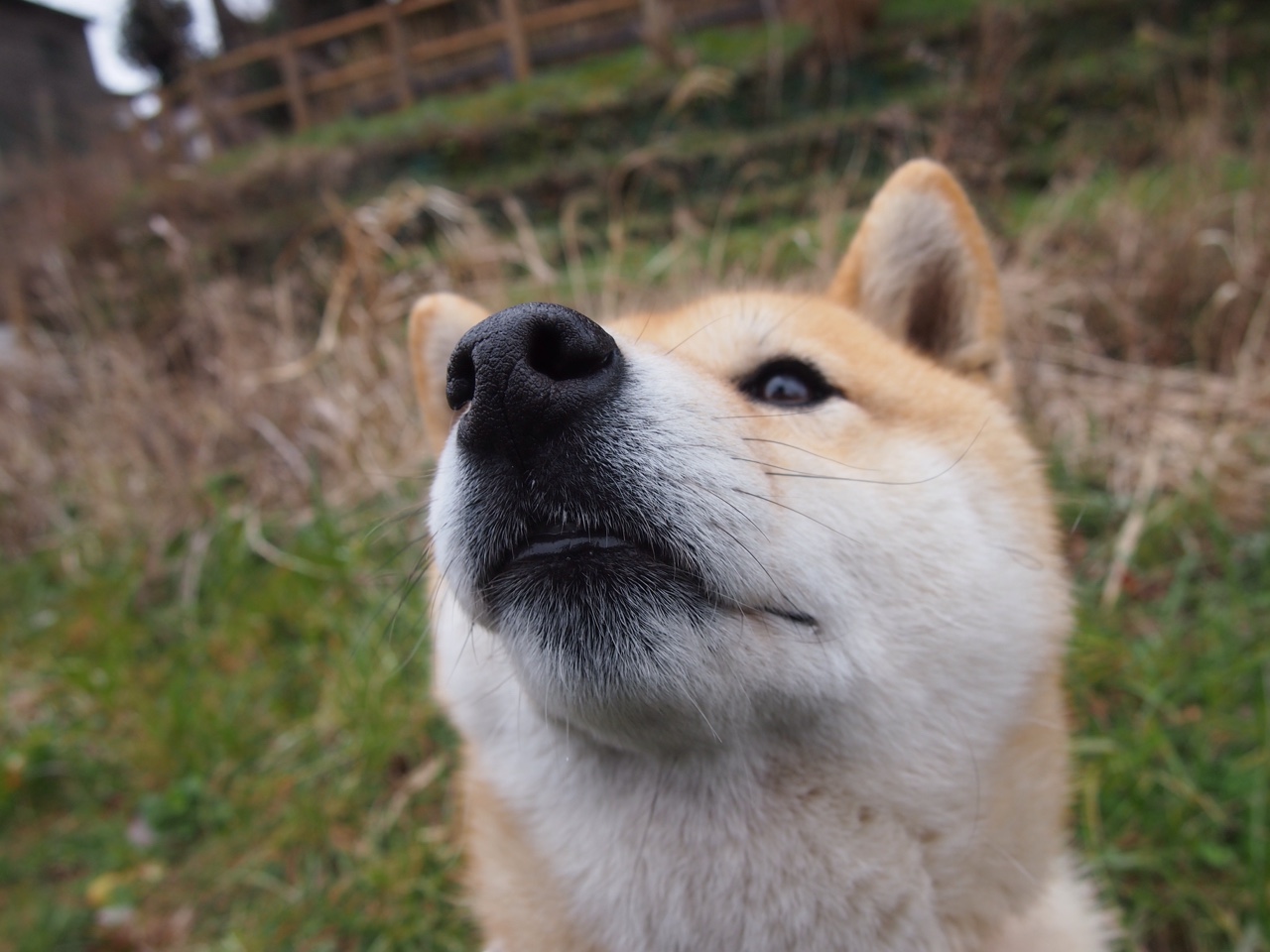 国家青年联赛全面启动打造全国统一高水平竞赛平台，全国青联是什么意思