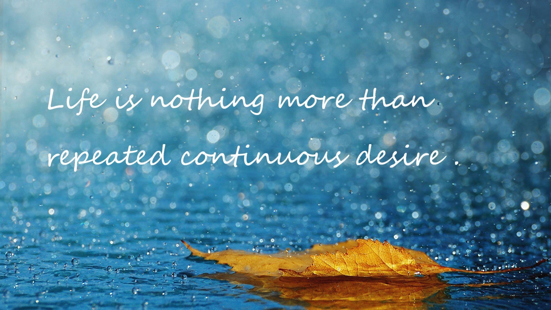 女子排球新生代球员快速成长，女子排球新生代球员快速成长的方法