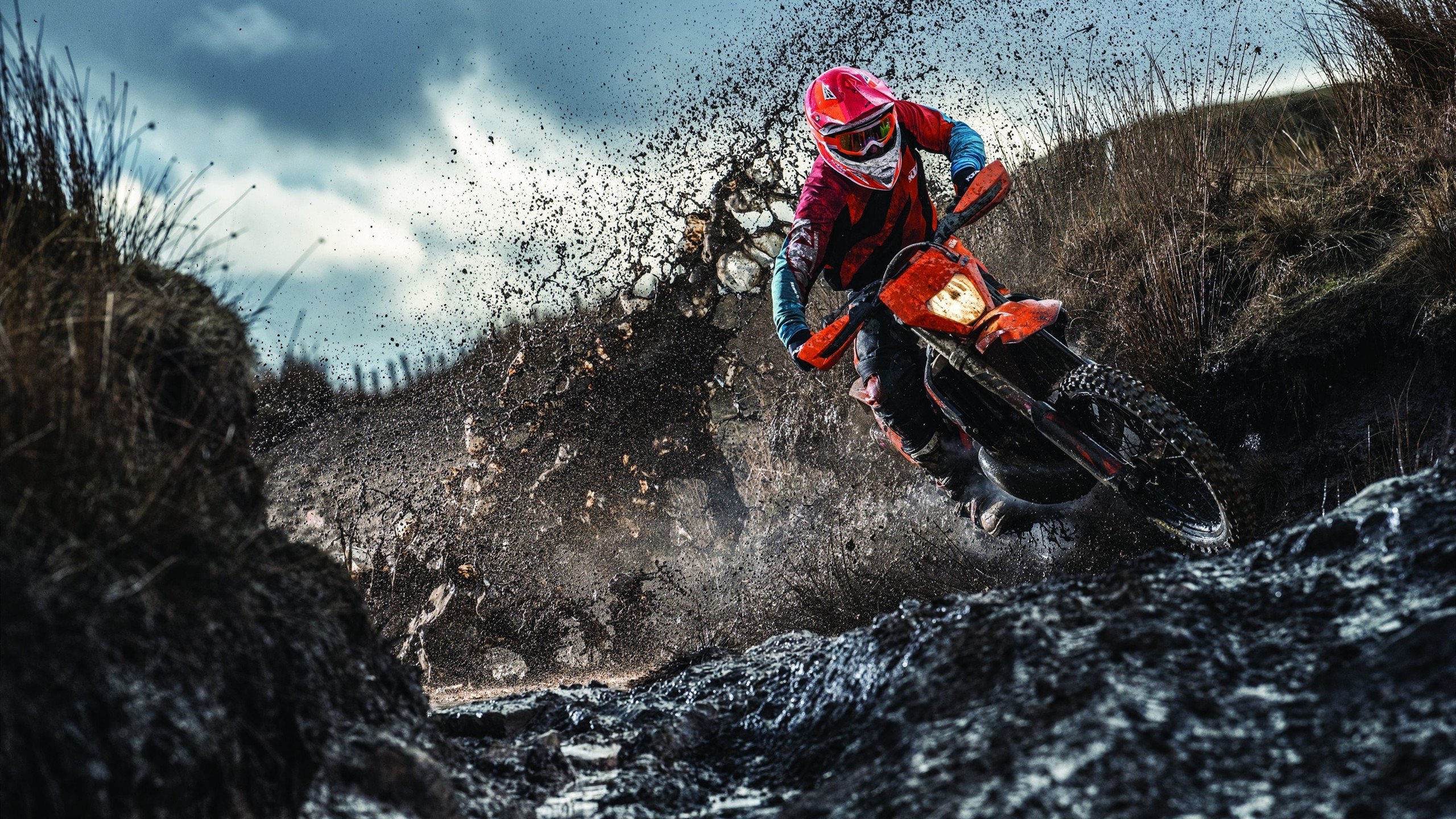 克莱尔·柯尔赞决赛发挥获媒体关注,克莱尔库赞